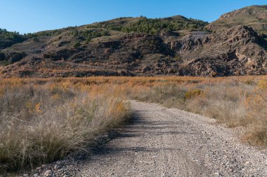 Güney İspanya 'nın dağlık arazisi, ağaçlar ve çalılar, kayalar ve taşlar var, gökyüzü açık.