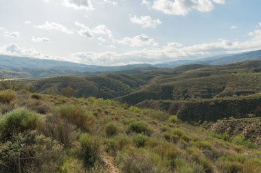 Güney İspanya 'nın dağlık arazisi. Ağaçlar ve çalılar var. Dağda toprak bir yol var.