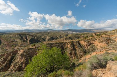 Güney İspanya 'nın dağlık arazisi. Ağaçlar ve çalılar var. Dağda toprak bir yol var.