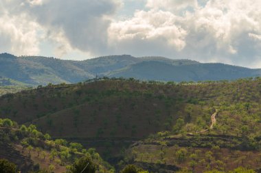 İspanya 'nın güneyinde badem ağaçları yetiştiriliyor. Dağlık bir bölge. Gökyüzünde bulutlar var.