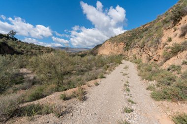 Granada 'nın güneyindeki toprak yolda, bitkiler ve ağaçlar var, taşlar ve yüksek voltaj kulesi var, gökyüzü bulutlu.