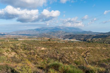 Güney İspanya 'nın dağlık arazisi, birkaç badem ve zeytin ağacı ekini, vadiler, gökyüzü bulutlu.