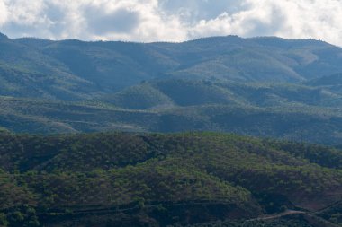 Güney İspanya 'nın dağlık arazisi, birkaç badem ve zeytin ağacı ekini, vadiler, gökyüzü bulutlu.