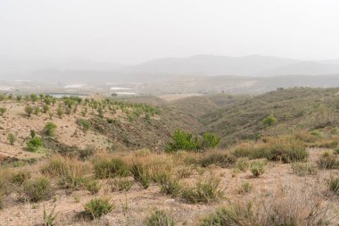 Güney İspanya 'nın dağlık arazisi, çalılar ve ağaçlar var, vadiler var, gökyüzü bulutlu.