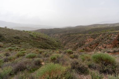 Güney İspanya 'nın dağlık arazisi, çalılar ve ağaçlar var, vadiler var, gökyüzü bulutlu.