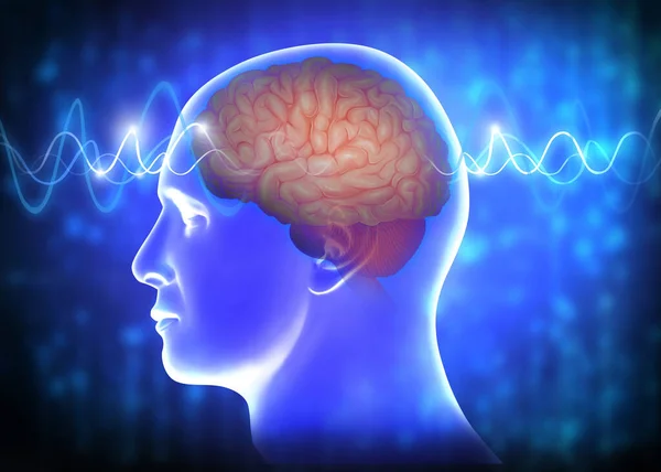 Medizinische Illustration Menschlicher Gehirnwellen — Stockfoto