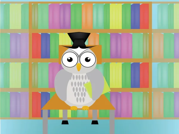 Owl in library — Stock Photo, Image