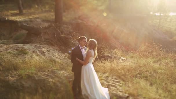 Casal muito agradável em um pinheiro floresta — Vídeo de Stock