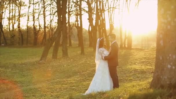 Menyasszony csókok kedvese az erdőben naplemente az erdőben. Gyönyörű pár napos. — Stock videók