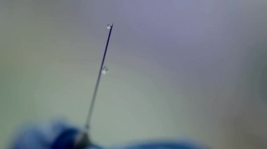 Diş Hekimliği yerleştirmeye