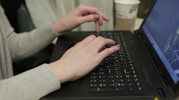 Female Hands Type on the Computer — Stock Video