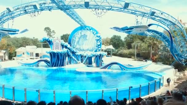 Baleias assassinas realizam durante o Shamu Show no Sea World Orlando - Um dos parques de diversões mais visitados dos Estados Unidos — Vídeo de Stock