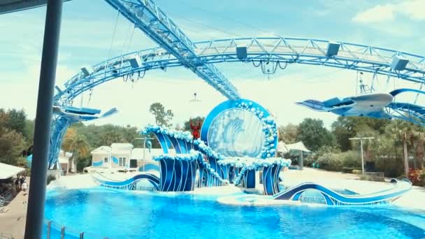 Las ballenas asesinas se presentan durante el espectáculo de Shamu en Sea World Orlando, uno de los parques de atracciones más visitados de los Estados Unidos — Vídeo de stock