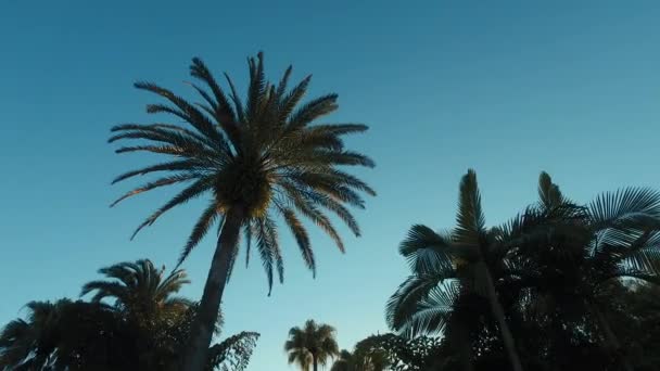 Universal Studios Globe at Universal Studios Orlando, a Popular Theme Park in Orlando, Florida — Stock Video