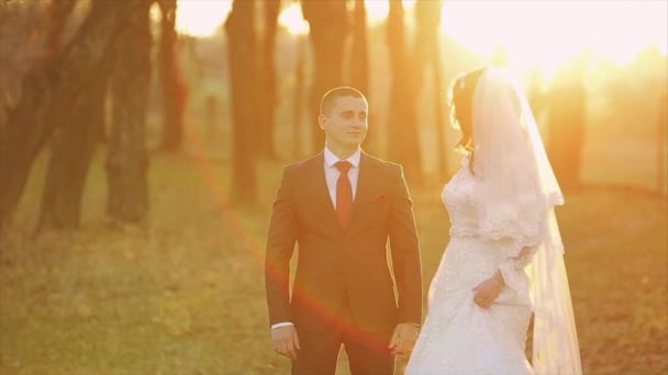 Menyasszony séta az erdőben, a szerető, naplemente és erdő közelében. Gyönyörű pár napos. — Stock videók