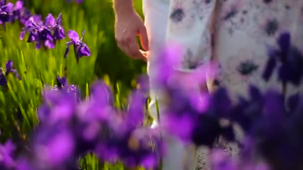 Milovníci drží za ruce v zahradě s fialové květy — Stock video