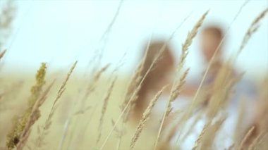 aşık genç bir çift ile onların evde beslenen hayvan köpek güzel bir orman yoluyla birlikte yürüyoruz. ağır çekim.