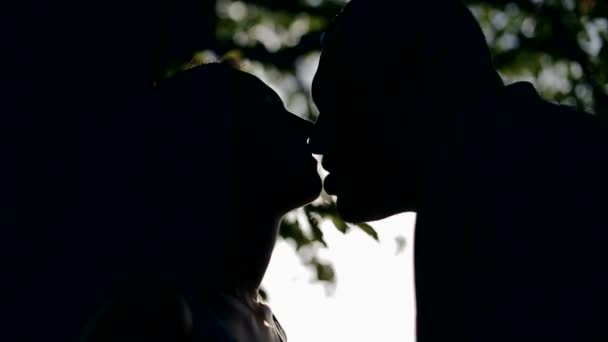 Unga älskande par i höst skog — Stockvideo