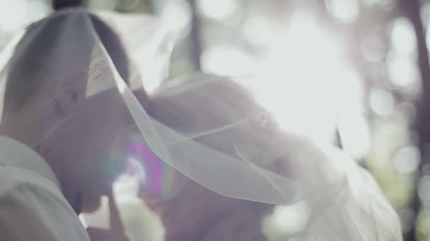 Жених и невеста целуются на фоне заката в лесу — стоковое видео