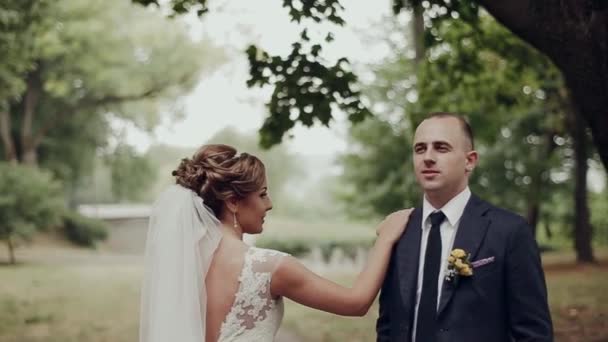 Pareja de boda cogidos de la mano, novio y novia juntos en el día de la boda. — Vídeos de Stock