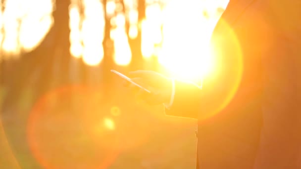 Sikeres üzletember, a napfény segítségével a telefon használata. — Stock videók
