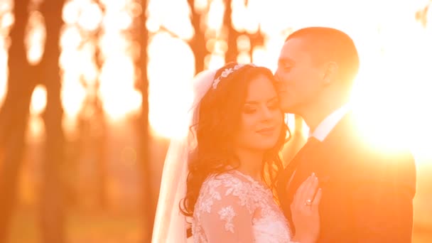 Novio novia están caminando en el bosque en la boda . — Vídeo de stock