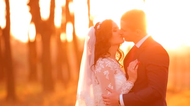Nevěsta ženich jsou procházky v lese na svatbě. — Stock video