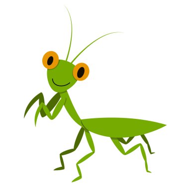 Mantis, Mantodea grasshopper in flat style, vector clipart