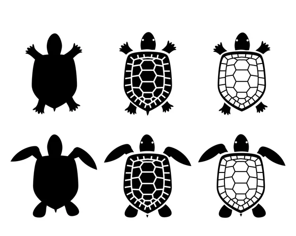 Conjunto de iconos de tortuga y tortuga, vista superior — Vector de stock