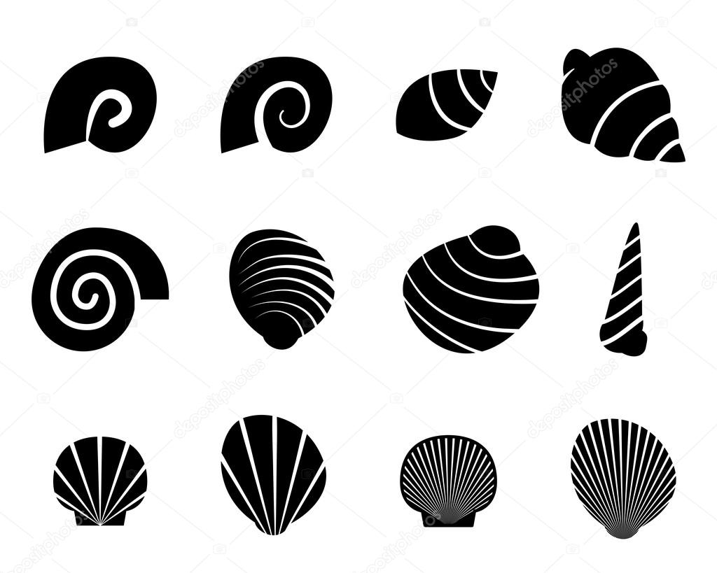 Set of shell in silhouette tattoo style,vector