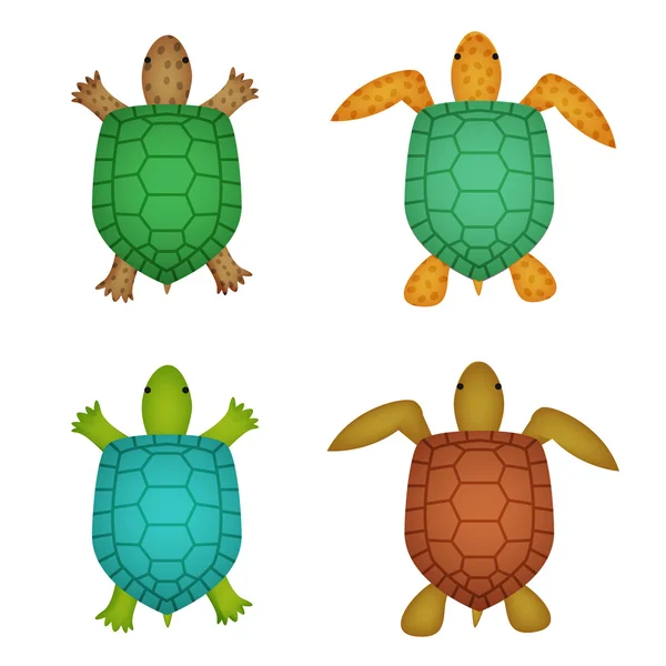 Tortuga y tortuga en estilo realista, vista superior — Archivo Imágenes Vectoriales