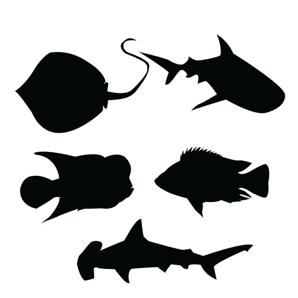 Sombra de pescado marino — Vector de stock