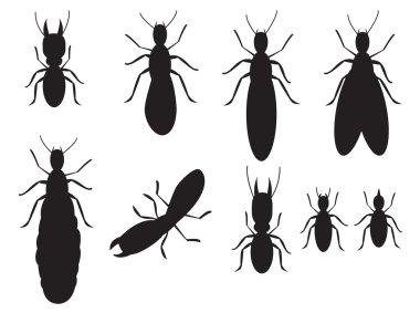 Set of Black silhouettes termites on a white background clipart