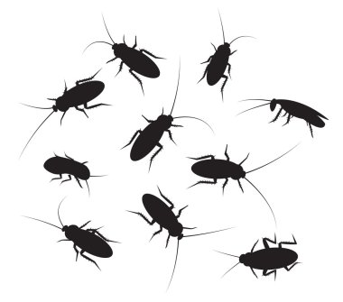 Set of black silhouette cockroach with detail, isolated on white vector Set of black silhouette cockroach with detail, isolated on white vector