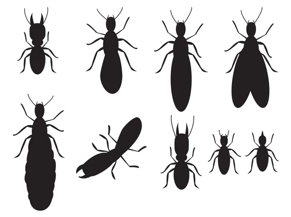 Set di termiti sagome nere su sfondo bianco — Vettoriale Stock