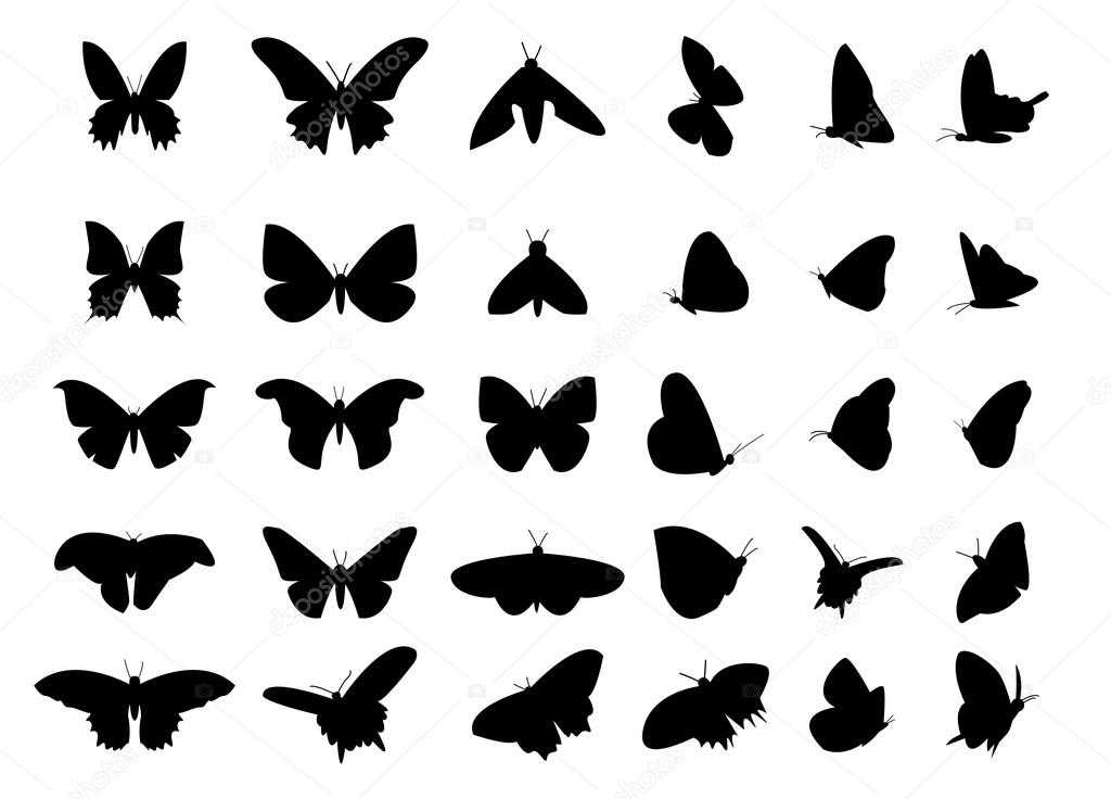 Download Set of flying butterfly silhouette, isolated vector object ...