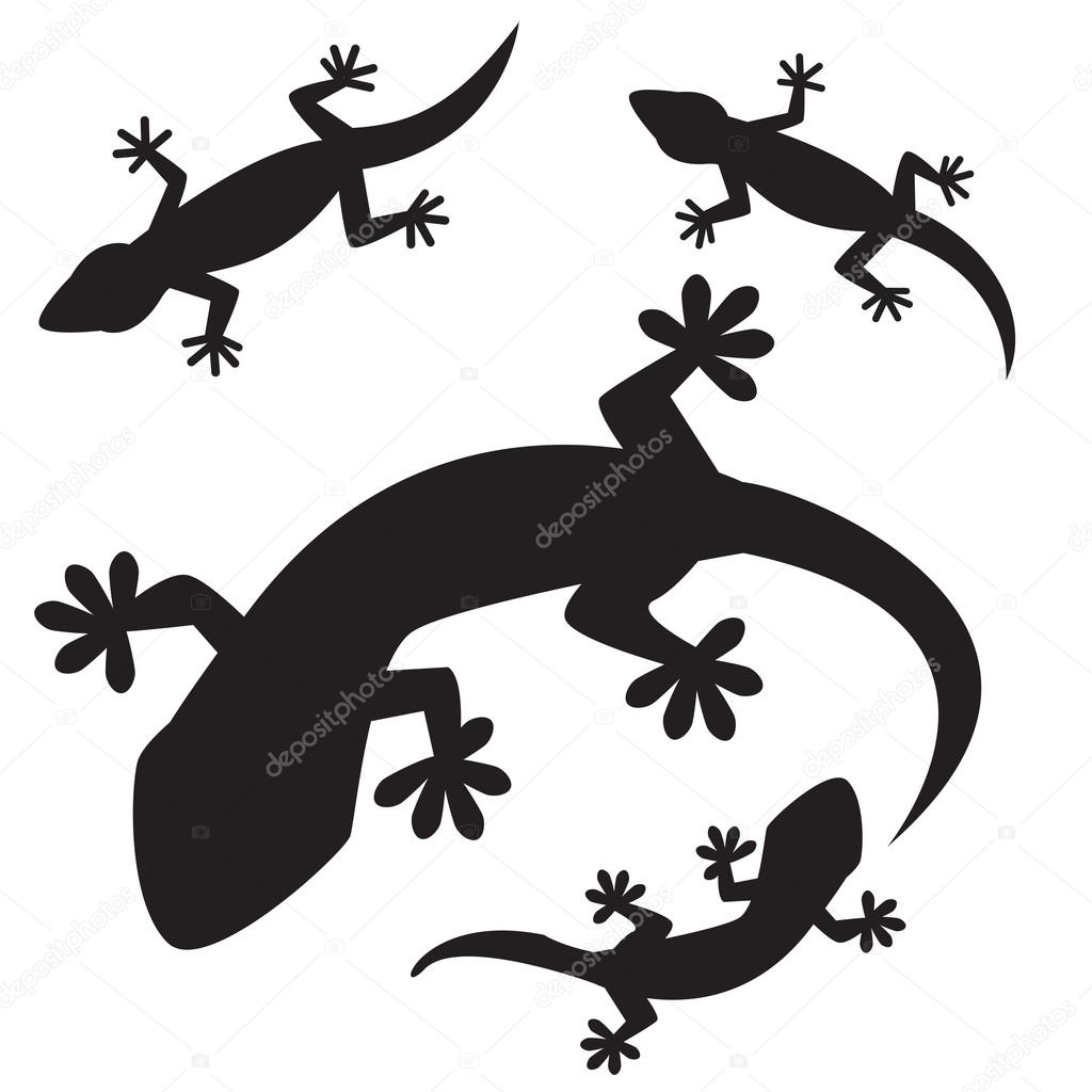 set of lizards silhouettes, isolated on white background