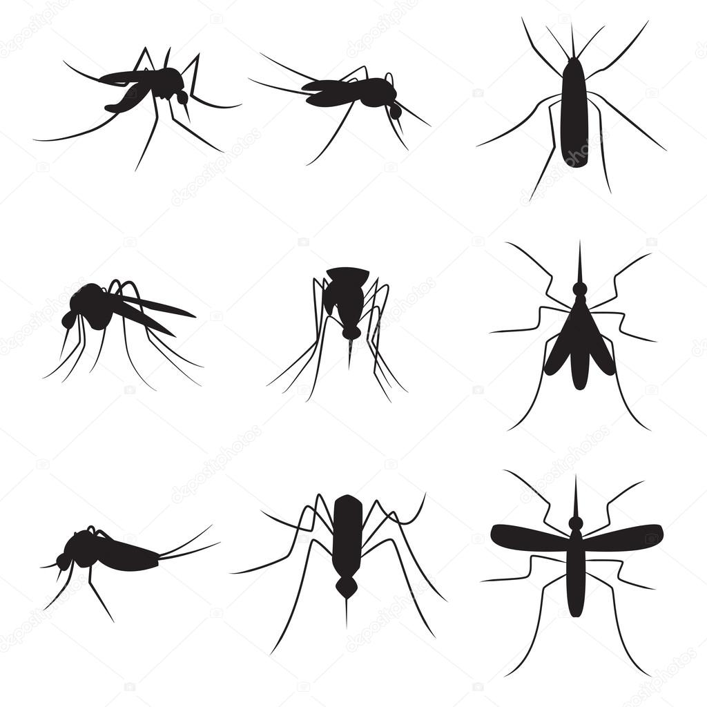 Set of black silhouette carrier mosquitoes isolated on white bac