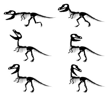 bir Tyrannosaurus rex iskeletini siluetleri 