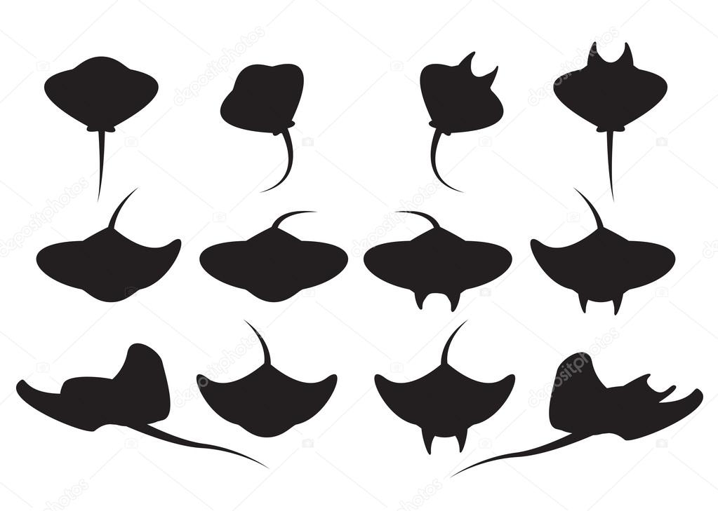 Set of stingray silhouette and icons in simple style. vector illustration.