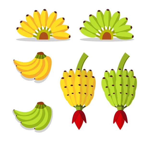 TRS banánů s žlutá a zelená — Stockový vektor