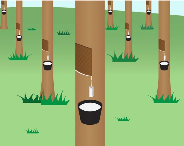 Selva de árvore de borracha em estilo plano —  Vetores de Stock