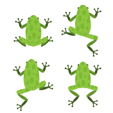 Set of green frog in flat style with pattern clipart