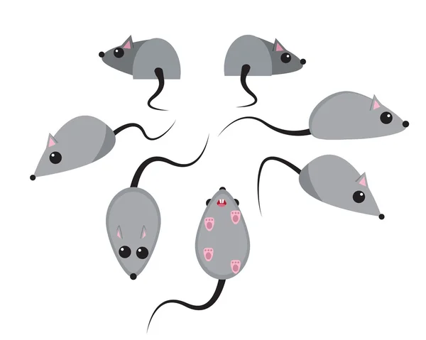 Set de rata en estilo plano — Archivo Imágenes Vectoriales