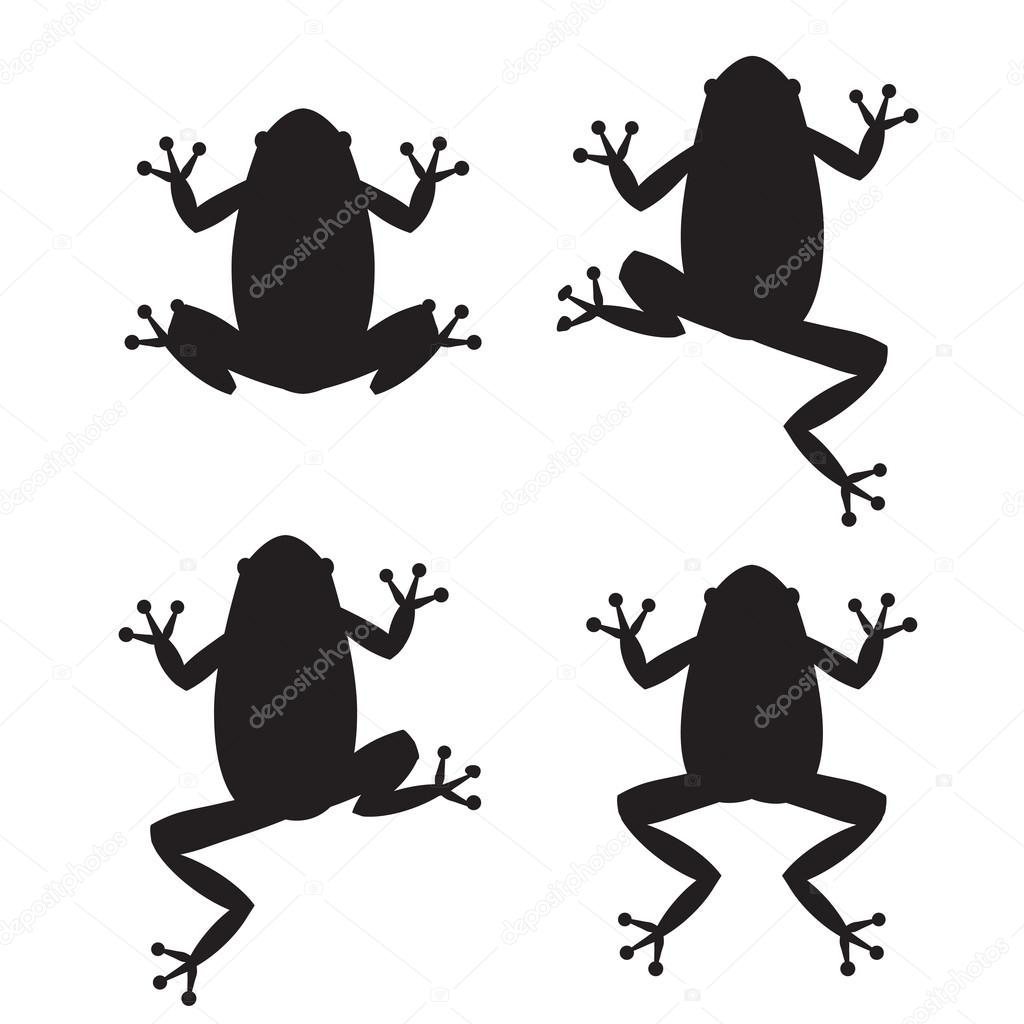 Set Of Frog Silhouettes On White Background Stock Vector Set Of Frog Silhouettes On White Background Stock Vector