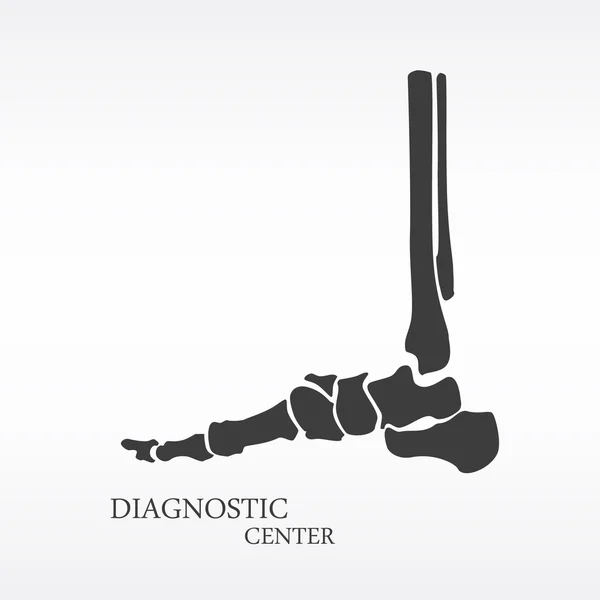 Anatomia do osso do pé —  Vetores de Stock