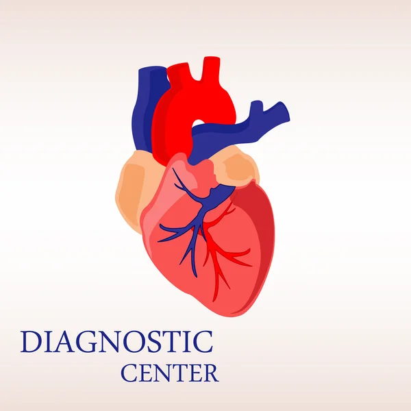 Anatomie cardiaque humaine — Image vectorielle