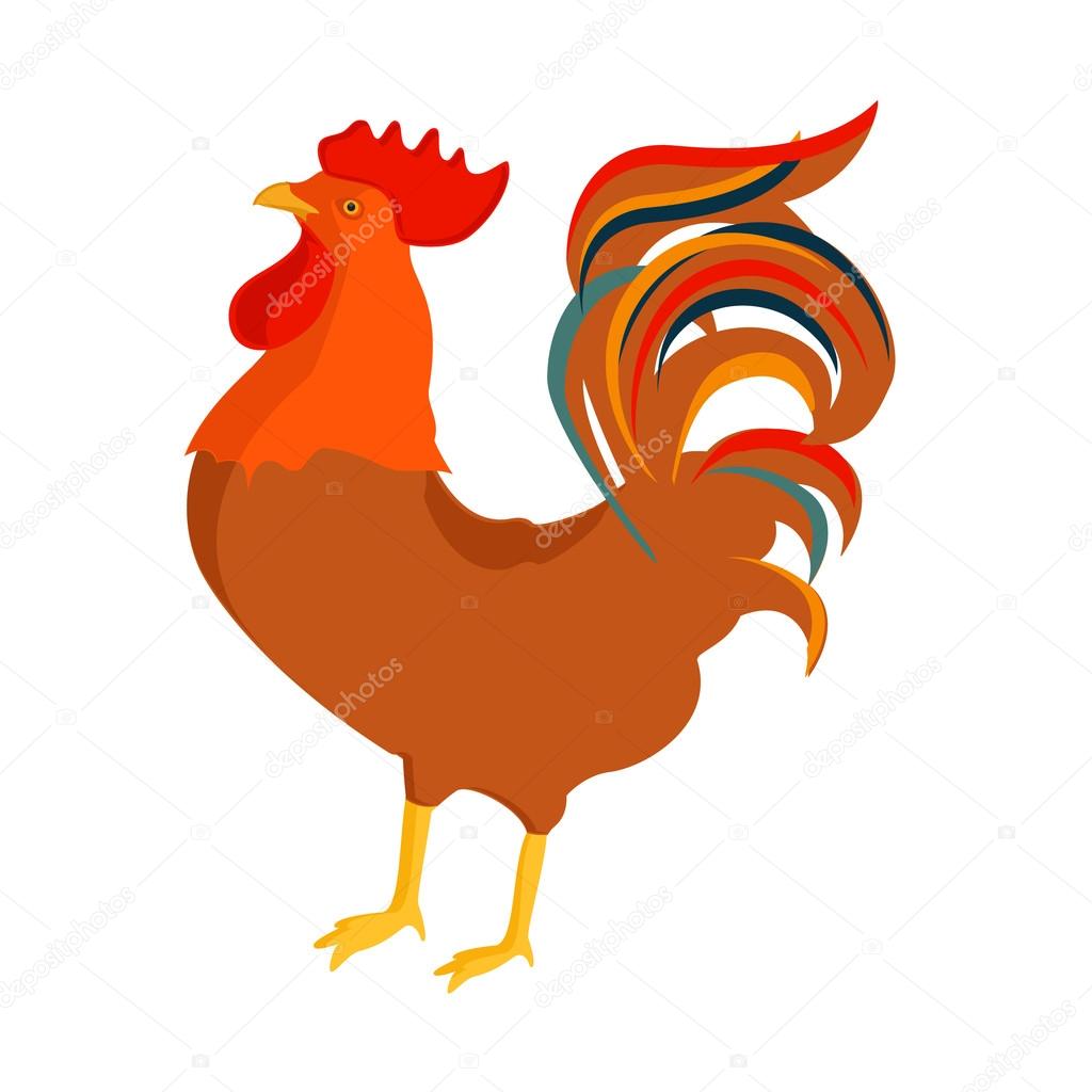Cock, rooster vector. 