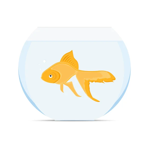 Goldfish in bowl — Stock Vector