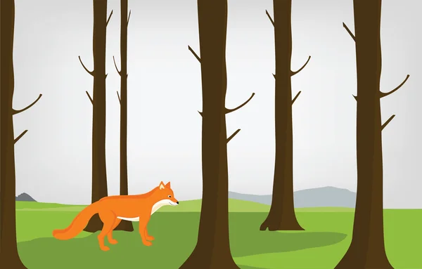 Red fox in boslandschap — Stockvector